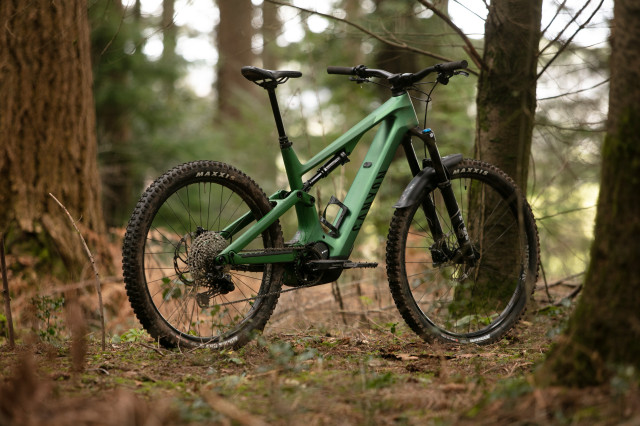 2023 canyon spectralon cf8 3q rear.jpg