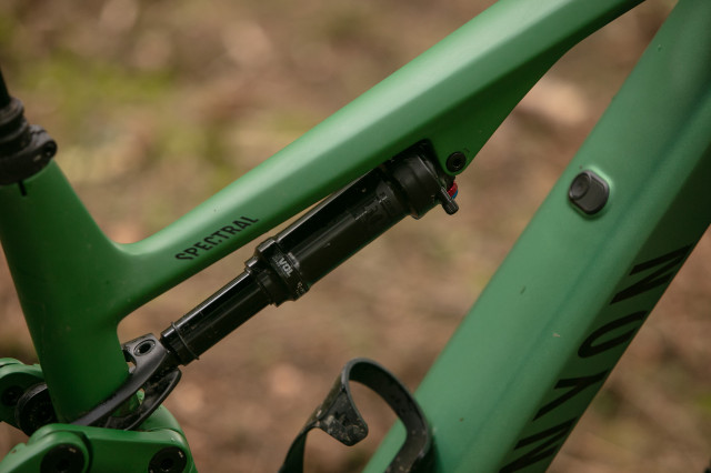 2023 canyon spectralon cf8 shock.jpg