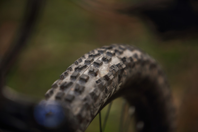 2023 haibike allmtn2 fr tyre.jpg