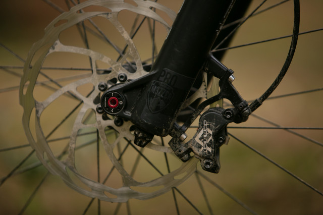 2023 hayes dominion a4 caliper front.jpg