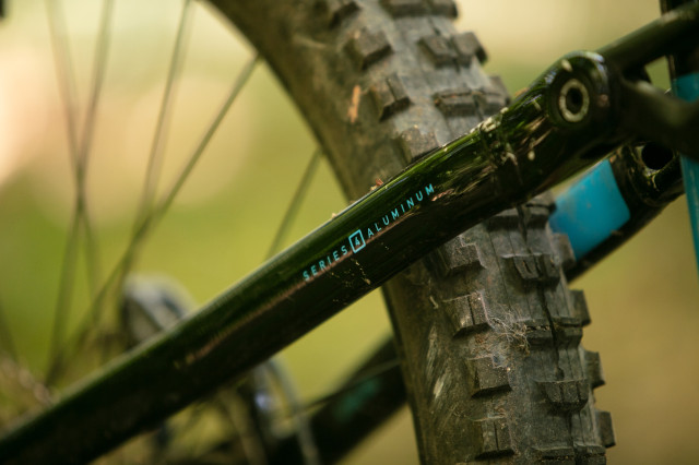 2023 marin alpine trail e st logo.jpg