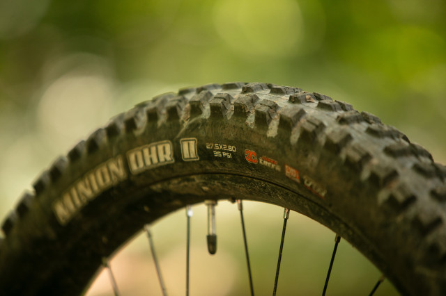 2023 marin alpine trail e tyre rear 2.jpg