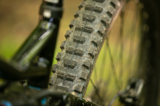2023 marin alpine trail e tyre rear.jpg