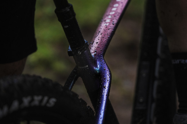2023 mondraker chrono dc ss.jpg