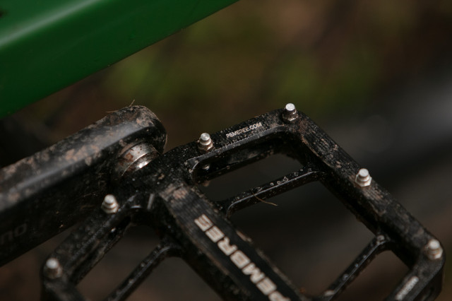 2023 pembree d2a detail 1.jpg