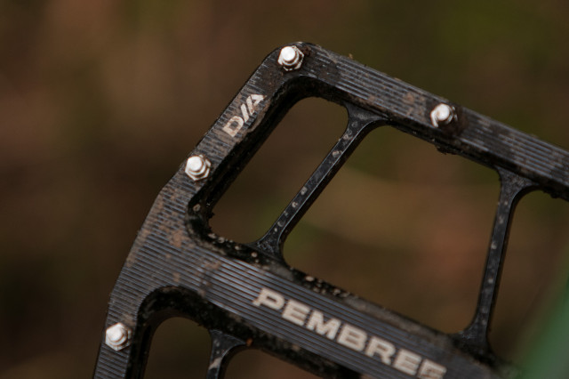 2023 pembree d2a detail 2.jpg
