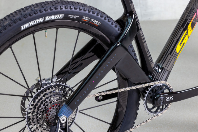 2023 scott endorphin new chainseatstay.jpg