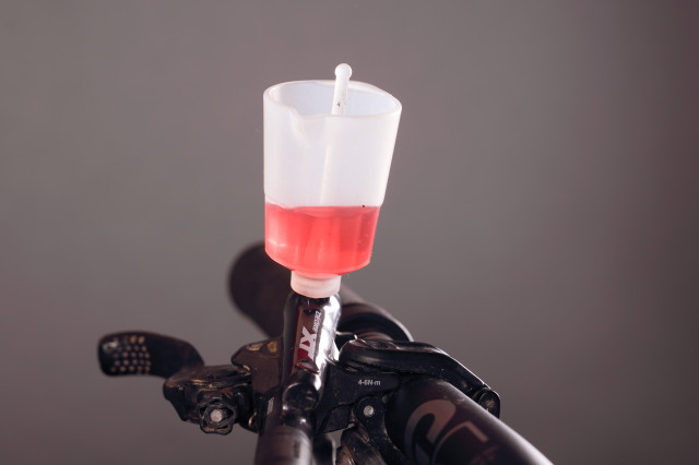2023 shimano cup with cap.jpg