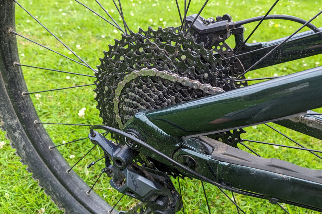 2023 vitus mythique cassette.jpg