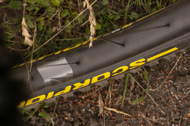 2023Reynolds Blacklabel 309 Enduro Pro rim profile.jpg