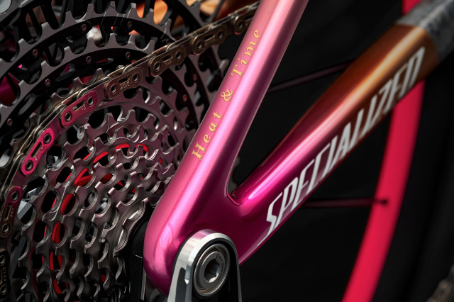 2024 50th specialized epic rear.jpg