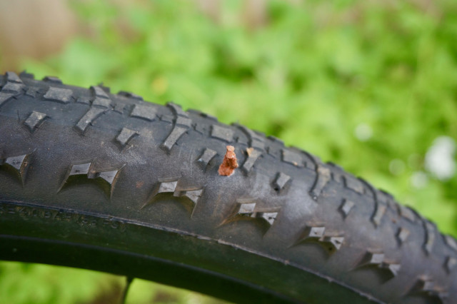2024 WTB TCS Rocket Tyre Plug Plug.jpeg