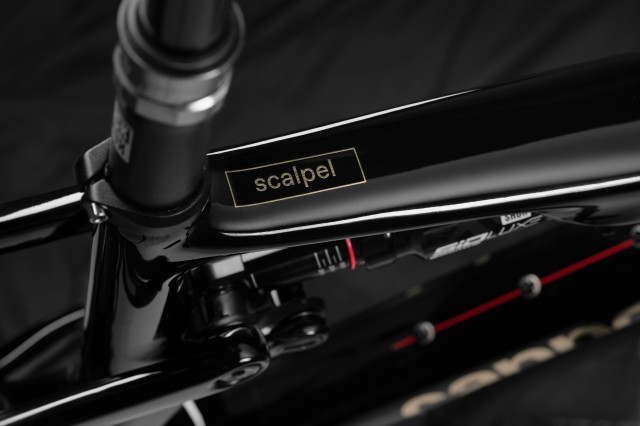 2024 cannondale scalpel logo 71.jpg