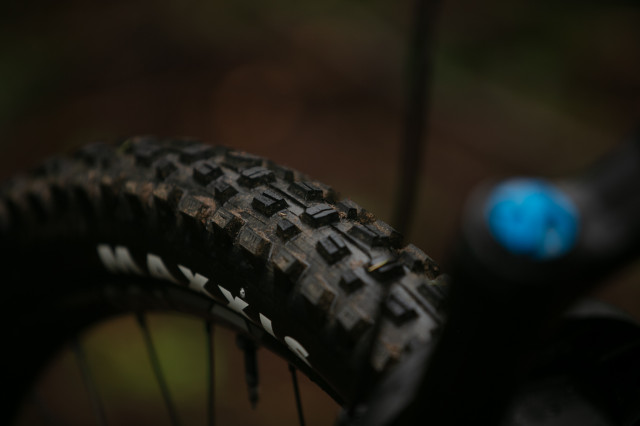 2024 canyon spectralonfly tyre.jpg