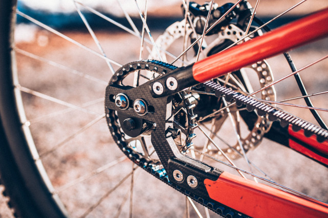 2024 carbon wasp carbon gearbox hardtail dropout.jpg