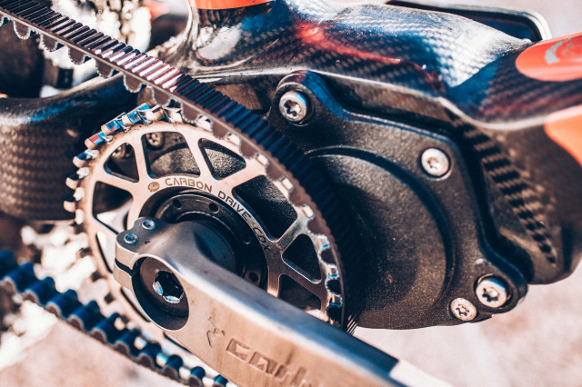 2024 carbon wasp carbon gearbox hardtail gearbox.jpg