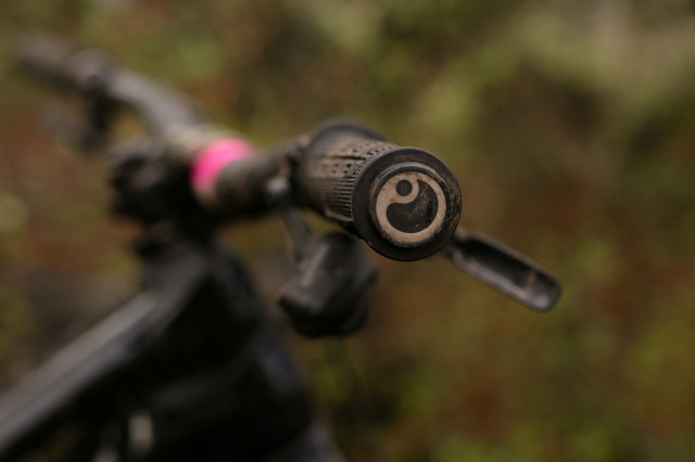 2024 ergon gdh team grip bar end.jpg