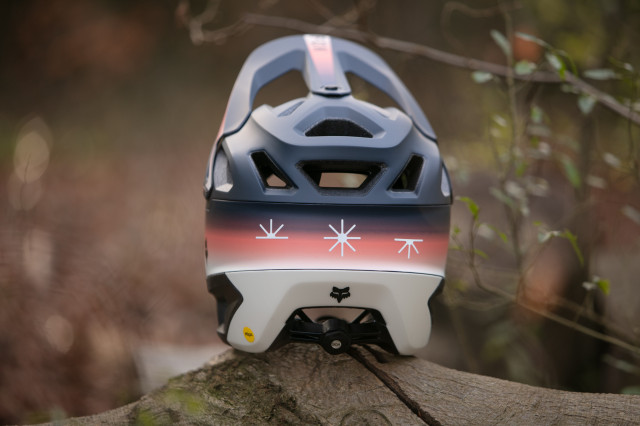 2024 fox dropframe pro back.jpg