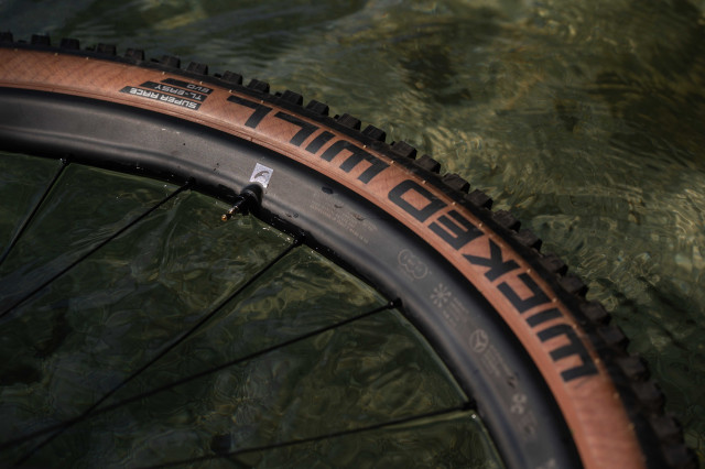 2024 fulcrum metal carbon 2.jpg