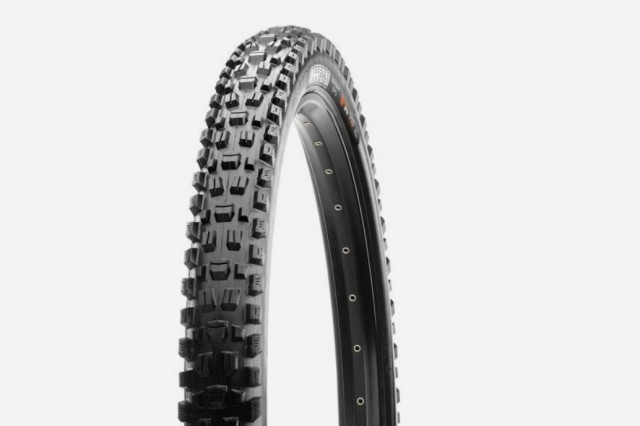 2024 maxxis assegai.jpg