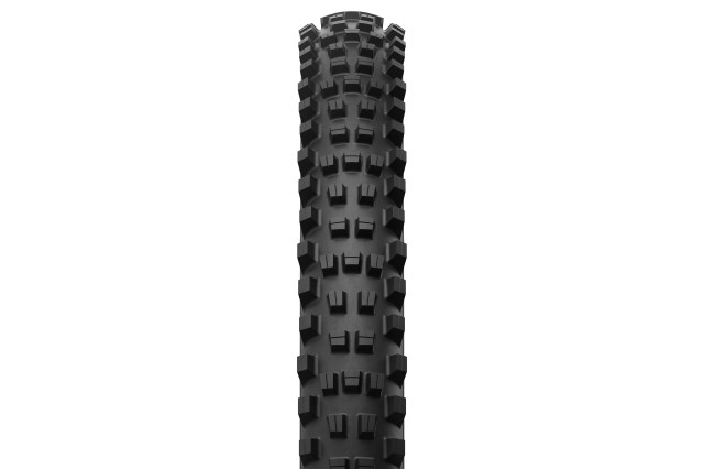 2024 michelin e-wild racing line front.jpg