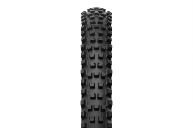 2024 michelin wild enduro ms.jpg