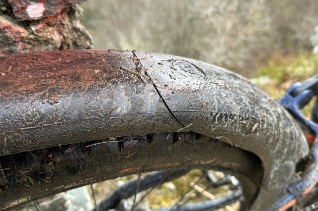 2024 muckynutz mugguard rear 1.JPG