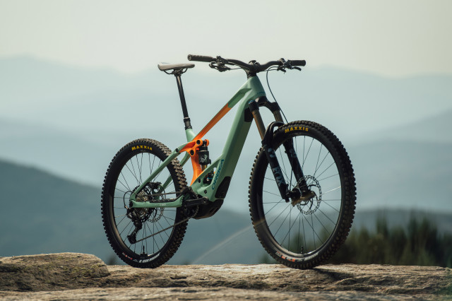 2024 orbea wild hero.jpg