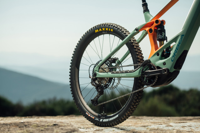 2024 orbea wild rear.jpg