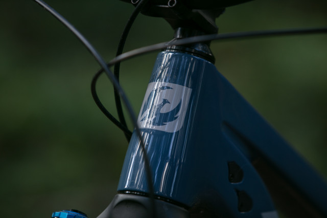 2024 pivot shuttle lt head tube.jpg