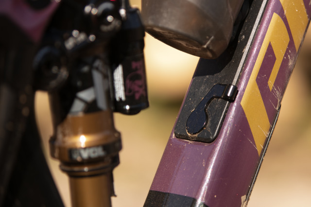 2024 pivot trailcat door.jpg