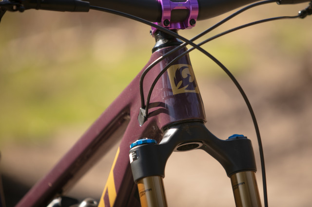 2024 pivot trailcat head tube.jpg