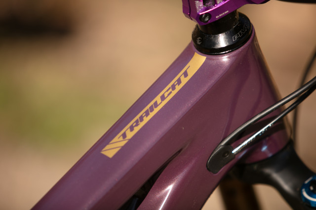 2024 pivot trailcat ht.jpg