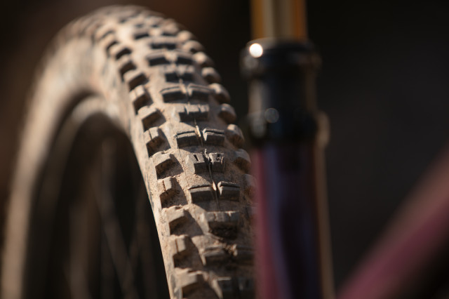 2024 pivot trailcat rear tyre.jpg