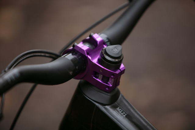 2024 pnw loam stem side.jpg