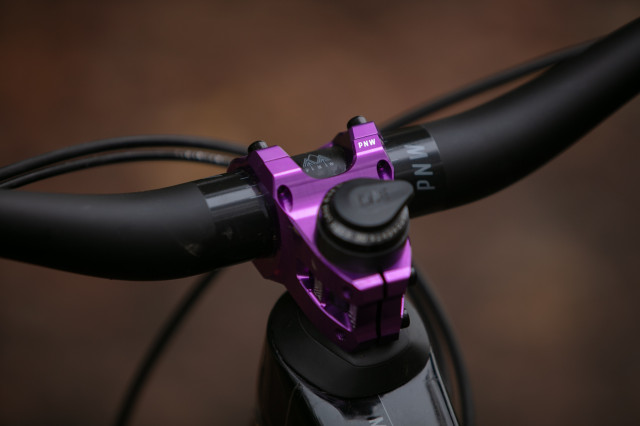2024 pnw loam stem top.jpg