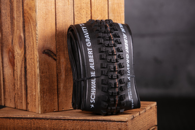 2024 schwalbe albert radial 5ct.jpg