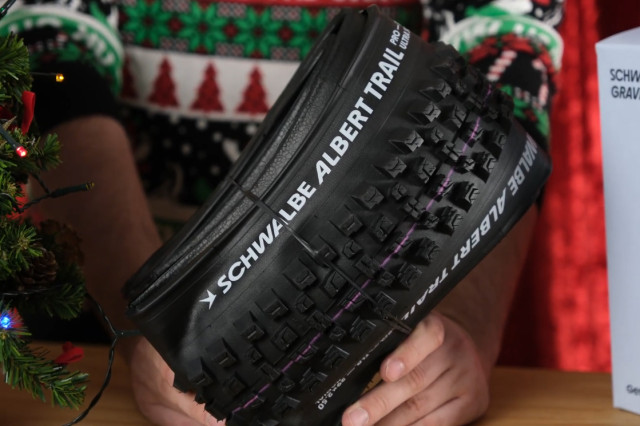 2024 schwalbe albert xmas.jpg