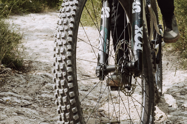 2024 schwalbe albert.jpg