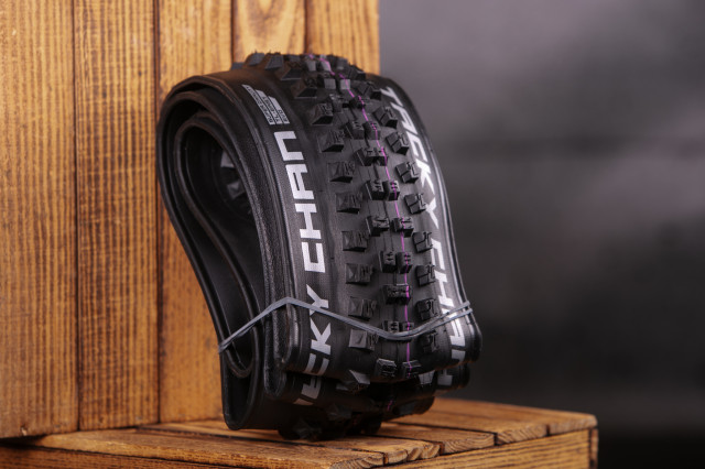2024 schwalbe tacky chan 5ct.jpg
