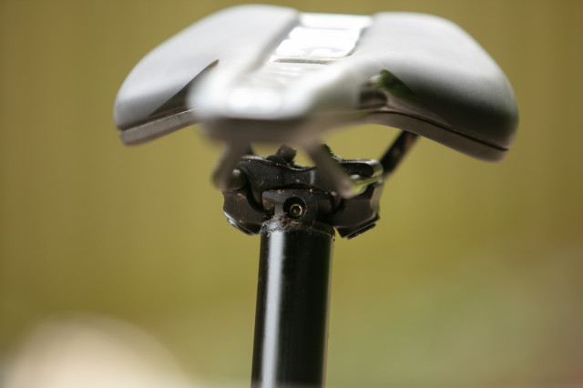2024 sdg tellis v2 head front.jpg