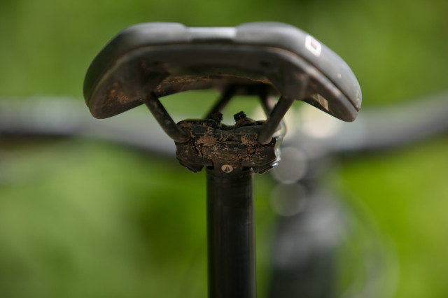 2024 sdg tellis v2 head rear.jpg