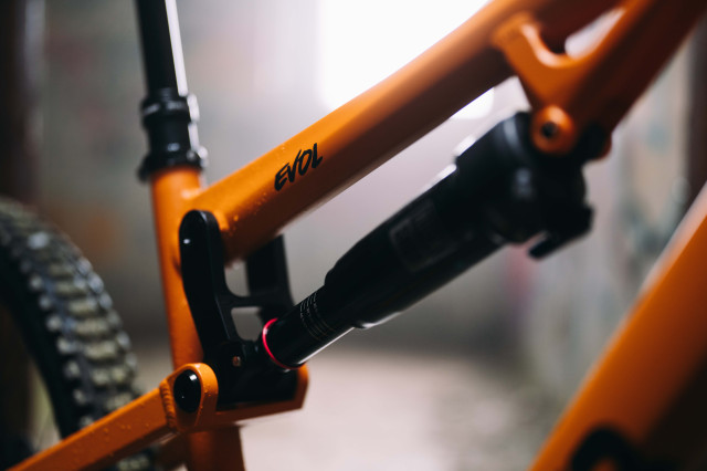 2024 sonder evol shock.jpg