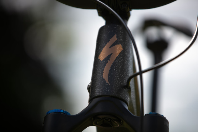 2024 specialized stumpjumper 15 ht.jpg