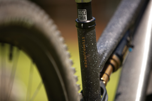 2024 specialized stumpjumper 15 st logo.jpg