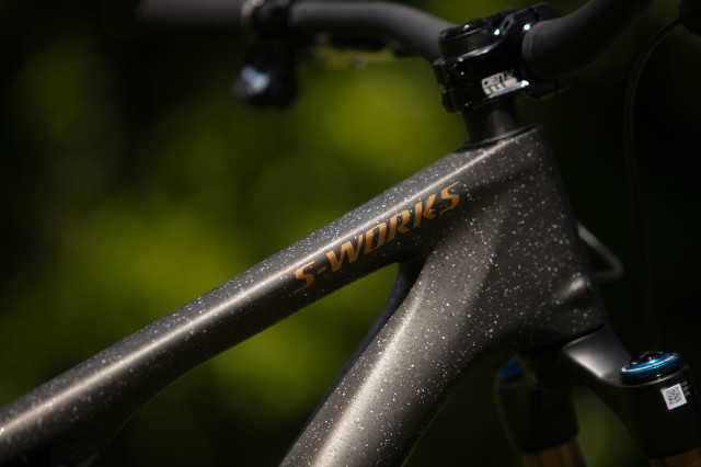 2024 specialized stumpjumper 15 tt logo.jpg