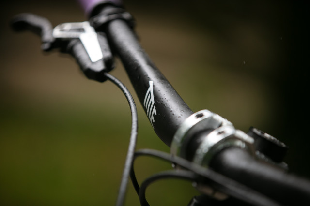 2024 title form carbon logo.jpg