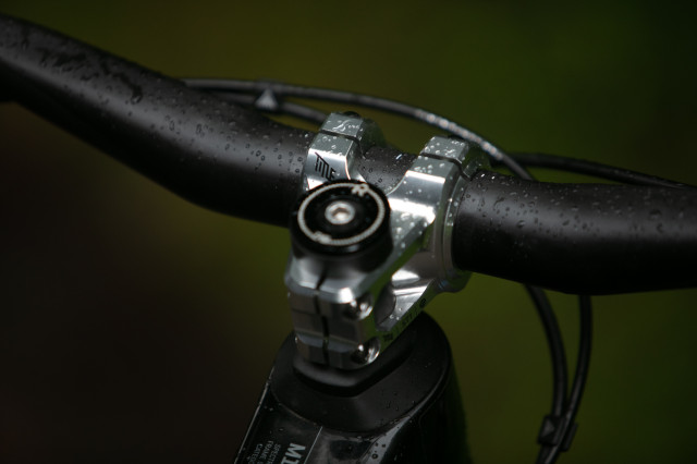 2024 title st1 stem 2.jpg