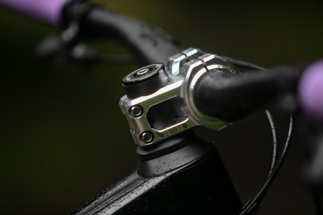 2024 title st1 stem side.jpg