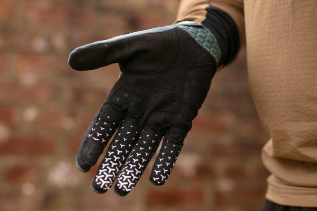 2024 tld swelter palm.jpg